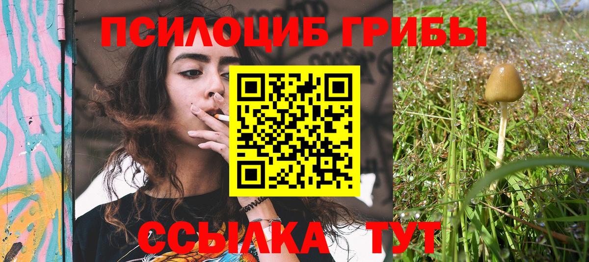 Псилоцибиновые грибы прущие грибы Жуковский