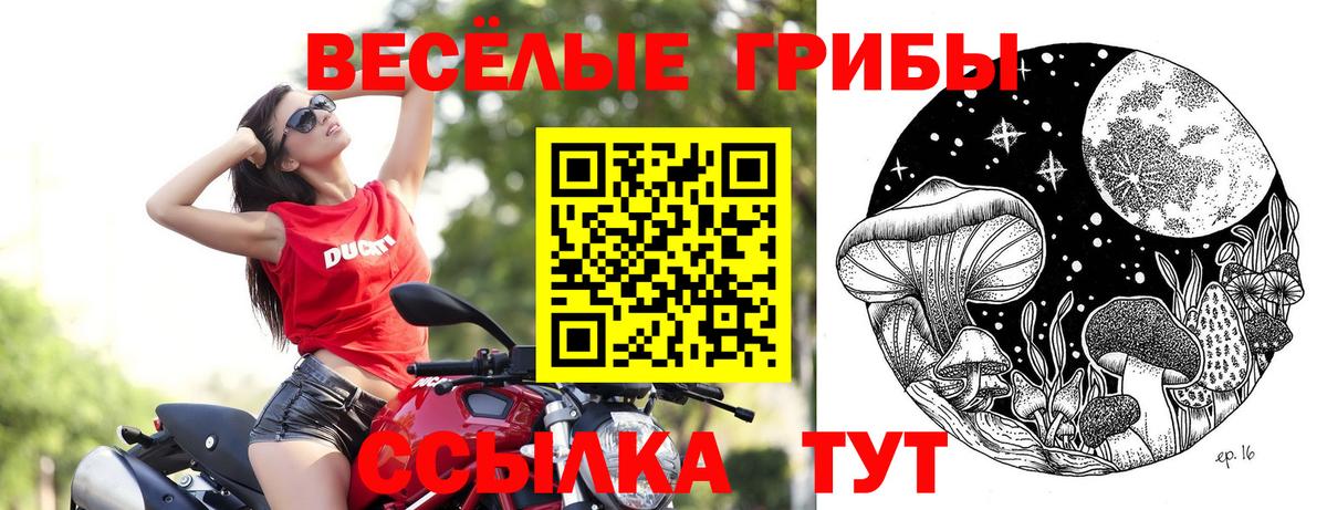 Галлюциногенные грибы GOLDEN TEACHER  Вход с VPN  Жуковский 